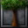 Tall Birch Tree icon