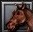 Dark Chestnut Horse icon