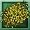 Longbottom Leaf Seed icon