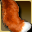 Blackened Aurochs Tail icon